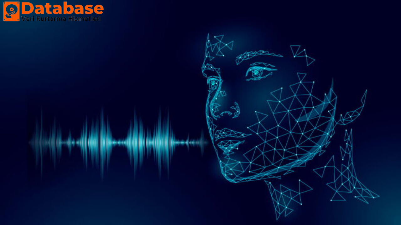 adli ses konusma incelemeleri 