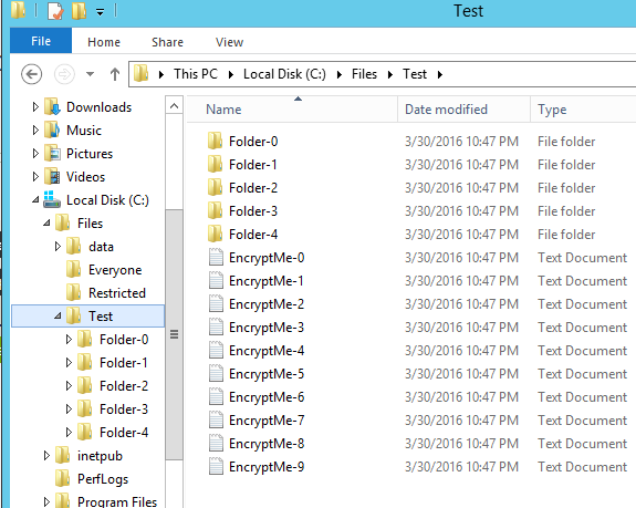 Fidye Virüsü Tarafından Şifrelenmiş Dosya Kurtarma